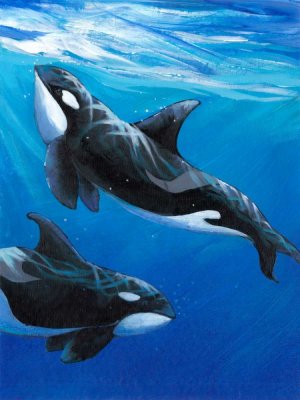 Under Sea Whales II Oil Painting by Tim O'Toole - Contemporary