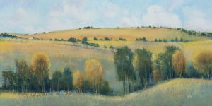 Valley Field I by Tim O'Toole Oil Painting