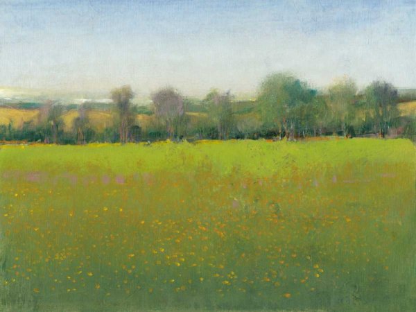 Verdant Countryside I by Tim O'Toole - Hand-Painted Oil Painting Reproduction