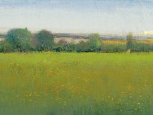 Verdant Countryside II by Tim O'Toole Oil Painting