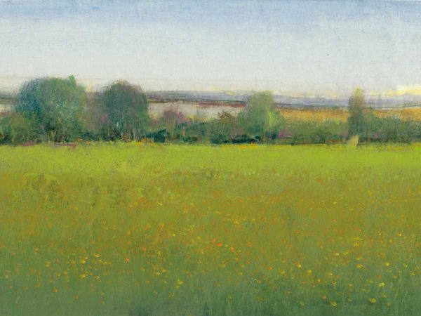 Verdant Countryside II by Tim O'Toole - Hand-Painted Oil Painting Reproduction
