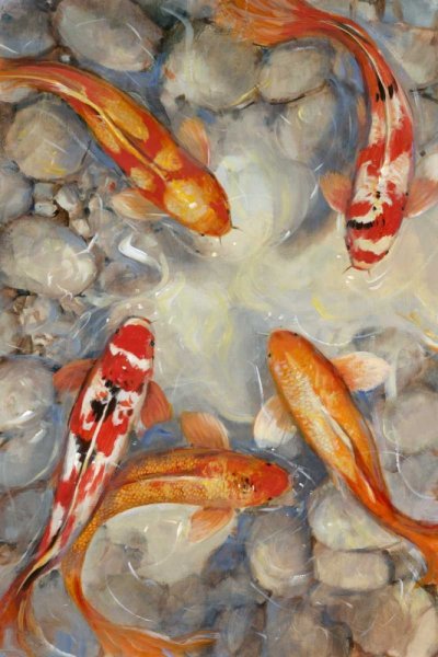Main Product Photo of Vibrant Koi I Painting by Tim O'Toole