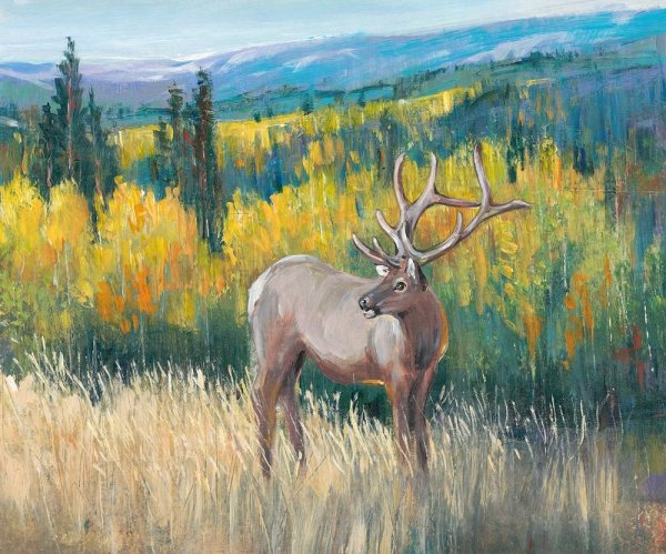 Main Product Photo of View From the Top I Painting by Tim O'Toole