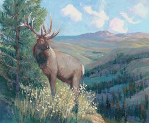 View From the Top II by Tim O'Toole Oil Painting