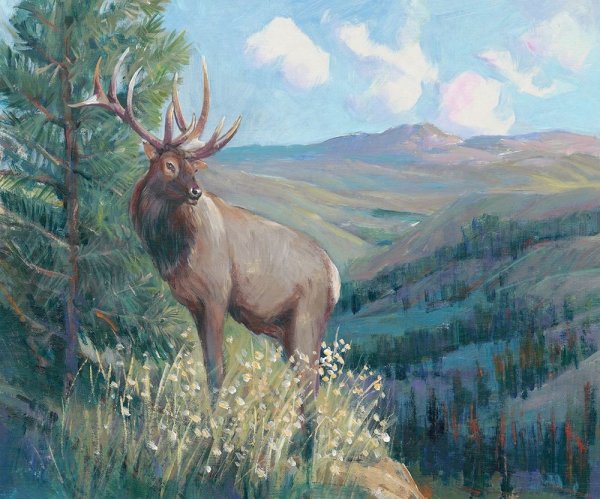 Main Product Photo of View From the Top II Painting by Tim O'Toole