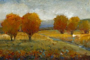 Vivid Brushstrokes II by Tim O'Toole Oil Painting