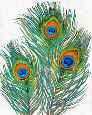 Vivid Peacock Feathers II by Tim O'Toole Oil Painting