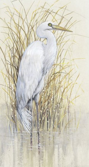 Wading I by Tim O'Toole Oil Painting