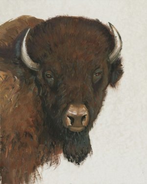 Western Portrait II by Tim O'Toole Oil Painting