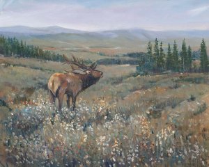Western Wildlife I by Tim O'Toole Oil Painting