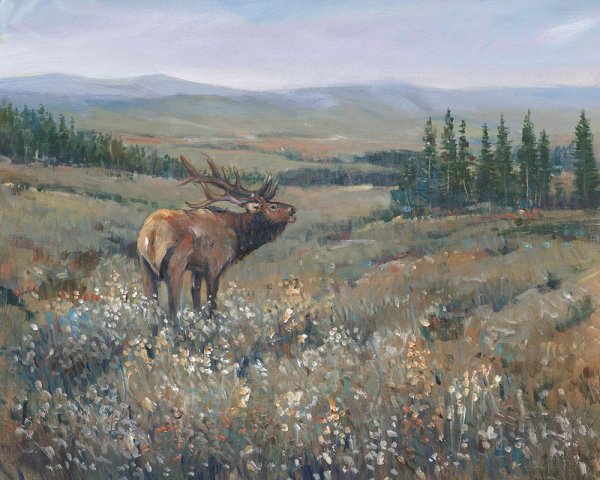 Main Product Photo of Western Wildlife I Painting by Tim O'Toole