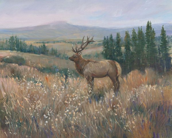 Main Product Photo of Western Wildlife II Painting by Tim O'Toole