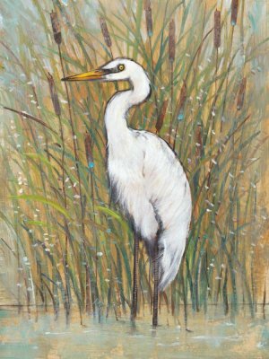White Egret I by Tim O'Toole Oil Painting