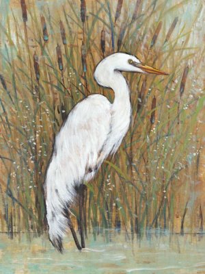 White Egret II by Tim O'Toole Oil Painting