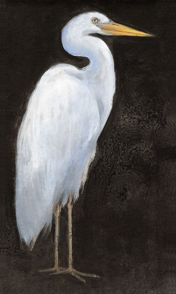Main Product Photo of White Heron Portrait I Painting by Tim O'Toole