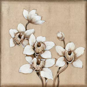 White Orchid I by Tim O'Toole Oil Painting