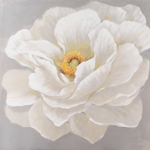 White Peony I Oil Painting by Tim O'Toole - Contemporary