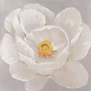 White Peony II by Tim O'Toole Oil Painting