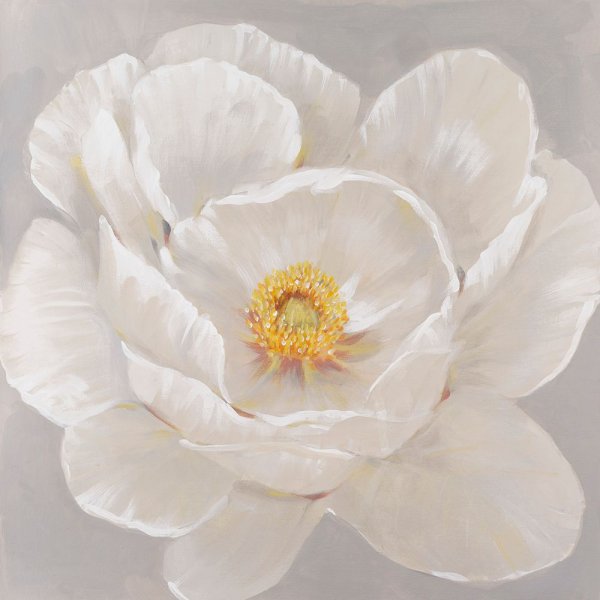 White Peony II by Tim O'Toole - Hand-Painted Oil Painting Reproduction