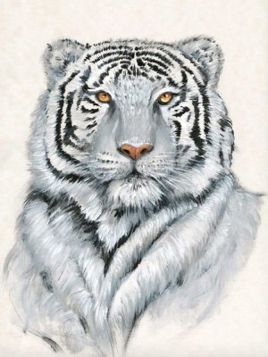 White Tiger I by Tim O'Toole Oil Painting