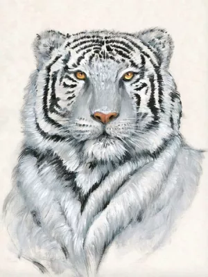 White Tiger I Oil Painting by Tim O'Toole - Bestsellers