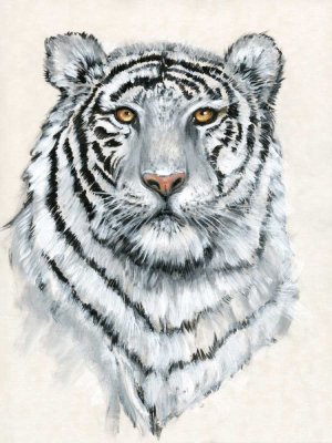 White Tiger II by Tim O'Toole Oil Painting