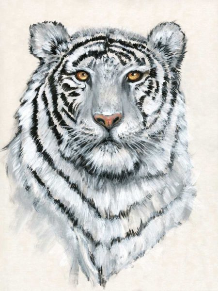 Main Product Photo of White Tiger II Painting by Tim O'Toole