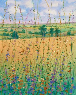 Wildflower Path II by Tim O'Toole Oil Painting
