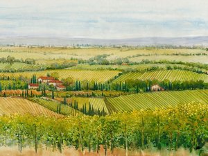 Wine Country View I Oil Painting by Tim O'Toole - Contemporary