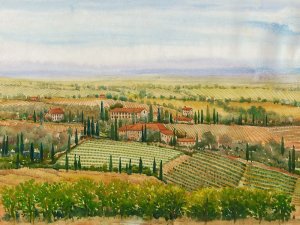 Wine Country View II by Tim O'Toole Oil Painting