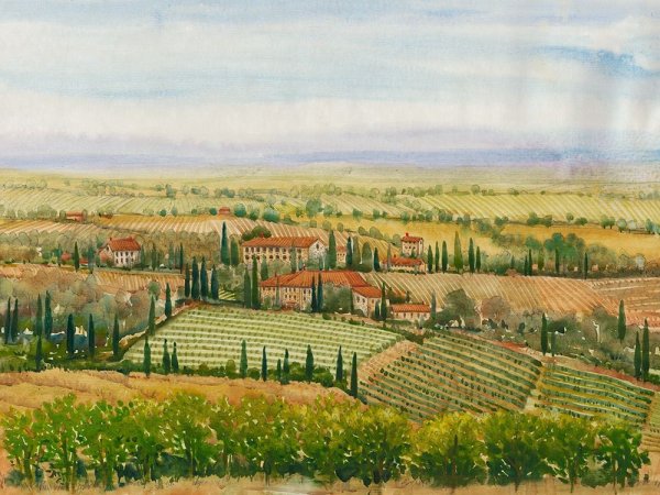 Main Product Photo of Wine Country View II Painting by Tim O'Toole