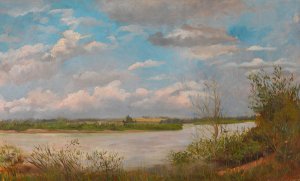 Donaulandschaft by Tina Blau Oil Painting