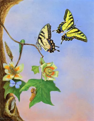 Butterflies also known as Papilio Turnus by Titian Ramsey Peale II Oil Painting