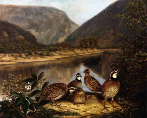 Five Bobwhites at the Delaware Water Gap by Titian Ramsey Peale II Oil Painting