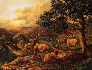 Four Elk by Titian Ramsey Peale II Oil Painting