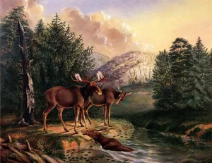 Moose in Maine by Titian Ramsey Peale II - Oil Painting Reproduction