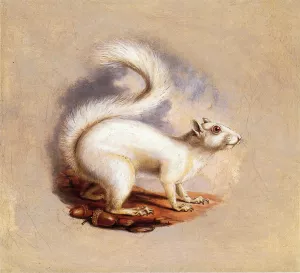White Squirrel by Titian Ramsey Peale II - Oil Painting Reproduction