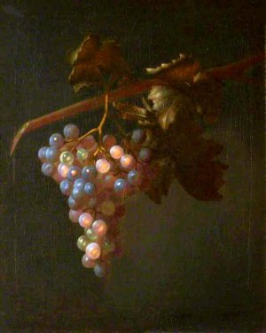 A Bunch of Grapes