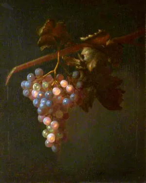 A Bunch of Grapes by Tobias Stranover Oil Painting