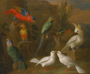 A Landscape With Exotic Birds Including Parrots, Parakeets, Turtle Doves And Cockatoos Oil painting by Tobias Stranover