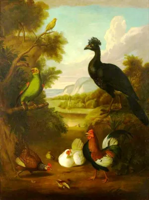 Canary, Green Parrot and other Birds in a Landscape by Tobias Stranover Oil Painting