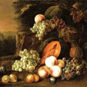 Grapes, Plums, Peaches, Pears and Pumpkins in a Landscape painting by Tobias Stranover