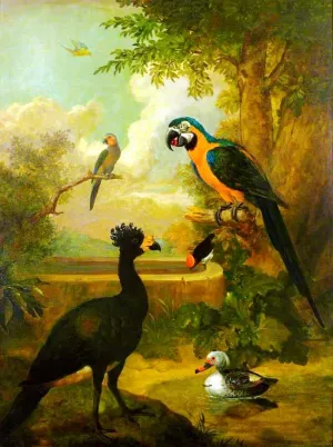 Macaw and Other Birds in a Landscape painting by Tobias Stranover