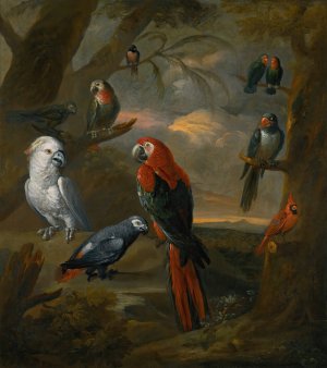 Parrots In An Extensive Woodland Landscape by Tobias Stranover Oil Painting