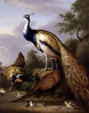 Peacock, Hen and Cock Pheasant in a Landscape by Tobias Stranover Oil Painting