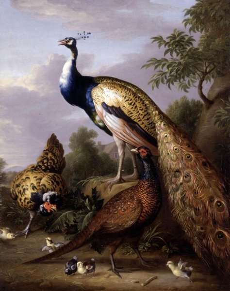Peacock, Hen and Cock Pheasant in a Landscape