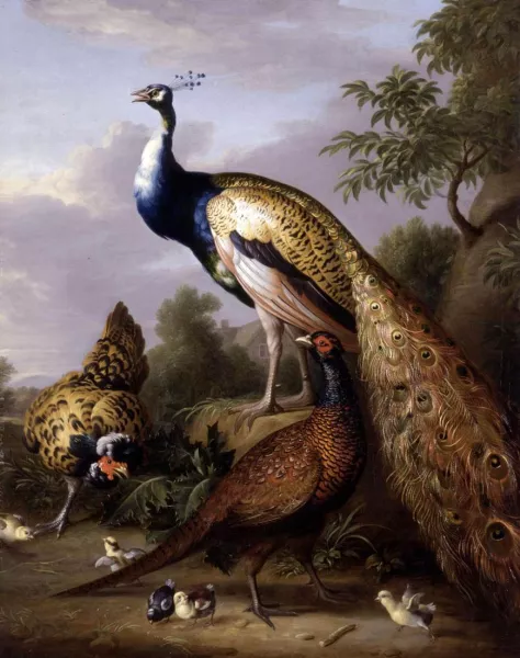 Peacock, Hen and Cock Pheasant in a Landscape Oil painting by Tobias Stranover