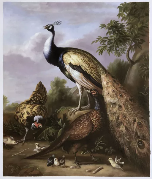 Peacock, Hen and Cock Pheasant in a Landscape painting by Tobias Stranover