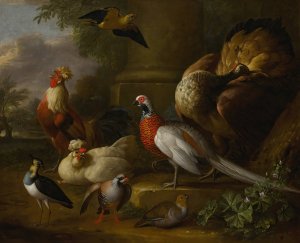Peacock, pheasant, chickens, partridges and a lapwing in a landscape by Tobias Stranover Oil Painting