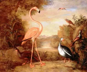 Various Types of Birds with a Flamingo